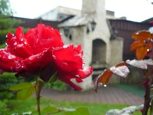 Hotel Restauracja Prestige